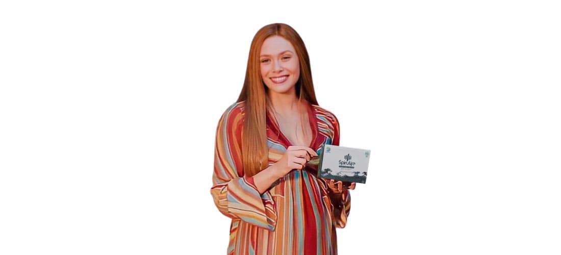 suplemen makanan untuk ibu hamil