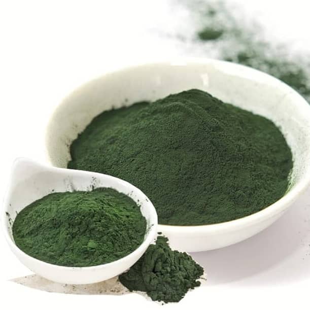 Potensi spirulina sebagai pakan ikan