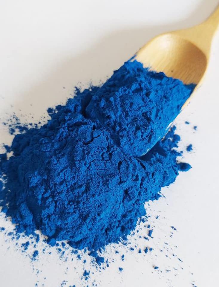 Phycocianin - Blue Spirulina Powder - Image 3
