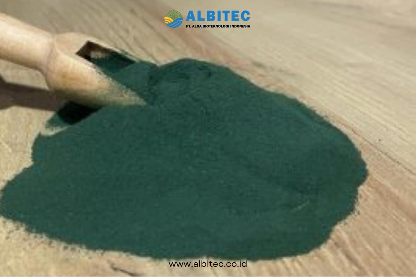 Spirulina Makanan Masa Depan - Albitec