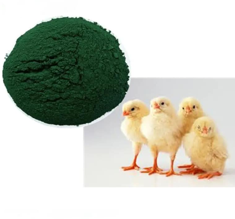 Spirulina for Poultry